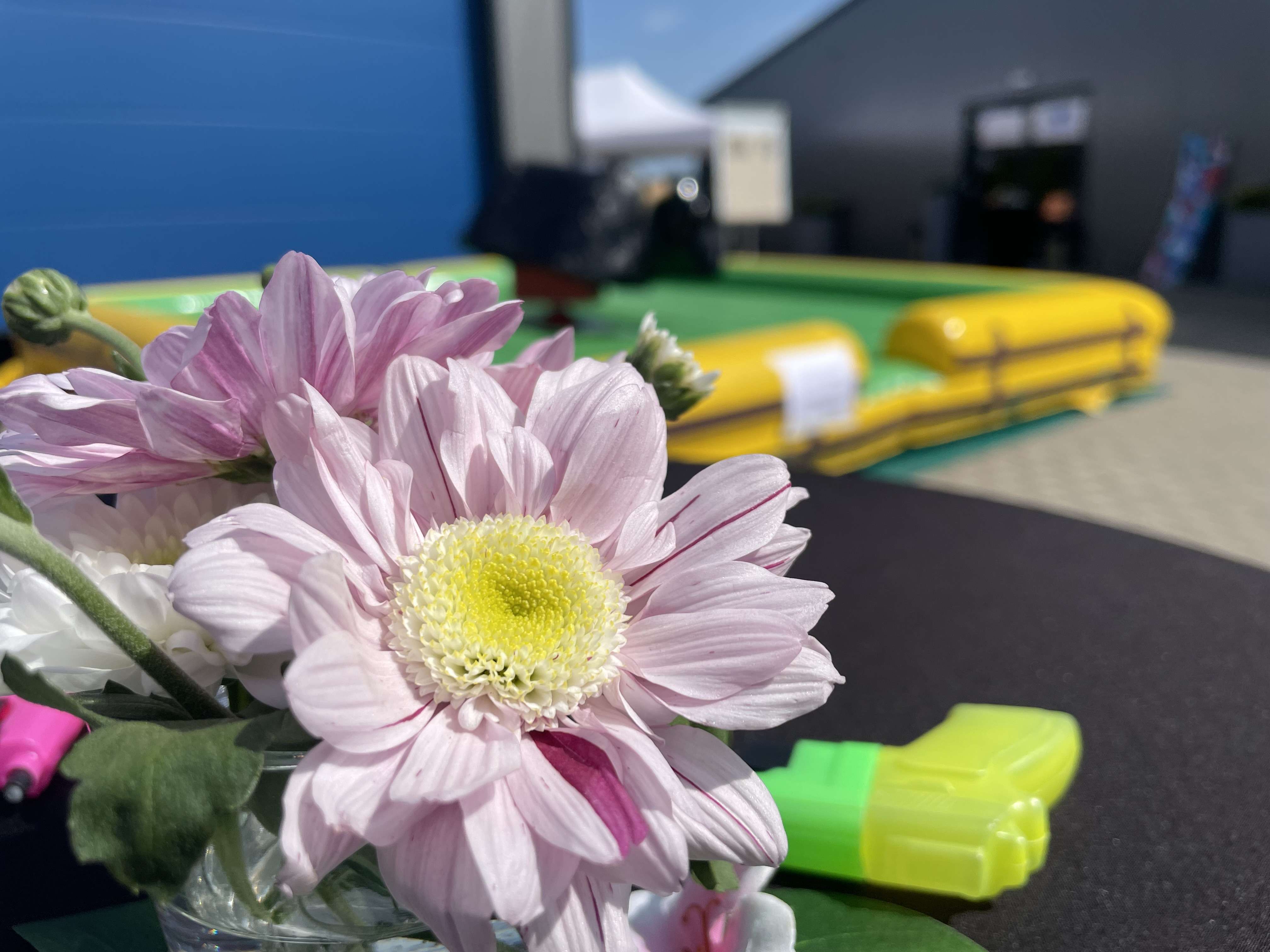 Eventmaterial Rodeo Hüpfburg